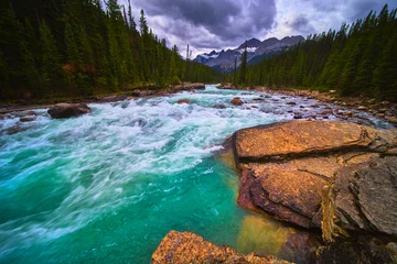 Fototapete Wald Fluss Turquoise River Flowing Through Mistaya Canyon with Rocky Shore and Pine Forest  © Nicholas J. Klein