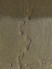 Footprints on sandy beach near a gentle sea wave. Calm summer travel moment capturing relaxation, coastal walk and mindful vacation vibes. Perfect for beach and lifestyle themes.