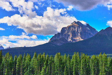 Majestic Snow Capped Mountain and Pine Forest under Dramatic Cloudy Sky