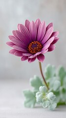 Macro Photo Of A Single Magenta Flower Bloom With Silver Glitter And Soft Focus Background
