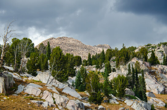 Beautiful Beartooth Highway landscape scene. Scenic travel destination location located on the Wyoming and Montana border. Scenic travel destination location for road trip. 