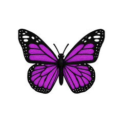 Butterfly Patch Embroidery Design with transparent background