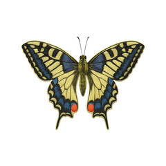 Fototapeta premium Butterfly Patch Embroidery Design with transparent background