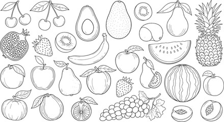 Fruit collection line art, black and white vector, healthy food sketch, hand drawn fruit icons, cad drawing flat vector illustration
