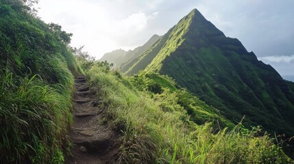 Lush Mountain Trail Winding Through Tropical Landscape