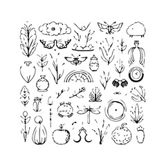 Fototapeta premium Hand drawn design elements set with floral botanical whimsical shapes creating nature illustration
