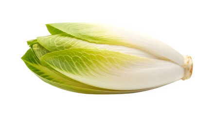 Obraz premium cabbage on a white background