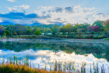 朝日が差し込む秋の池