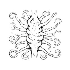 Intricate hand drawn arboreal structure featuring winding tendrils and detailed texture creating