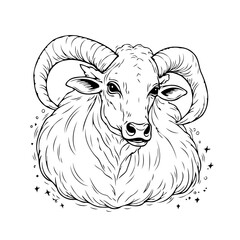 Majestic ram illustration with intricate line work capturing power and grace in monochrome format,