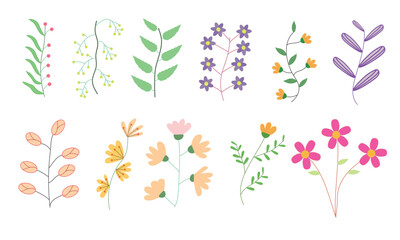 A collection of blooming flower branches and leaves for botanical decoration.
