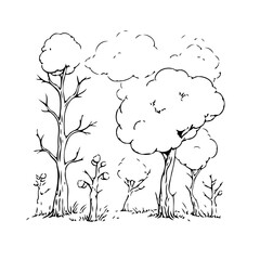 Whimsical arboreal sketch depicting a tranquil woodland scene with fluffy cloud-like treetops in