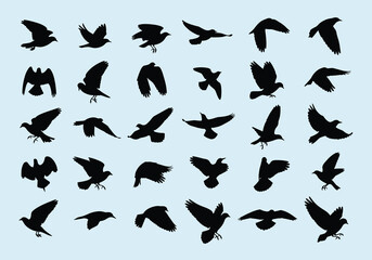 Vector silhouettes of birds in flight, various species and wing positions, isolated on light background, graphic illustration, nature theme, top view design