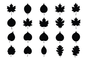 Vector silhouettes of various leaf shapes, nature-inspired graphic design elements, flat black icons, isolated on white background, clean vector illustration