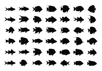 Vector silhouette fish collection, aquatic animals, graphic design, isolated black shapes, creative vector illustration, marine environment, top view concept