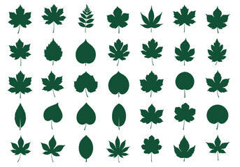 Vector set of diverse leaf shapes and types, botanical illustration, graphic design, isolated elements, flat design, nature vector collection, top view