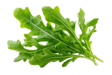Fresh green arugula leaves with water droplets on black background salad, Isolated On Transparent Background, Png Cut Out
