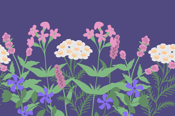 Native flowers of Belgium vector illustration