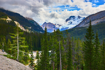 Glacier Mountain Peaks and Evergreen Forest in Jasper Canada Alpine Wilderness