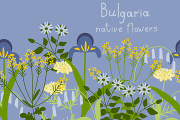 Native flowers of Bulgaria vector illustration