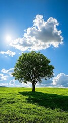 Obraz premium Solitary Tree on Lush Green Meadow under Blue Cloudy Sky in Summertime