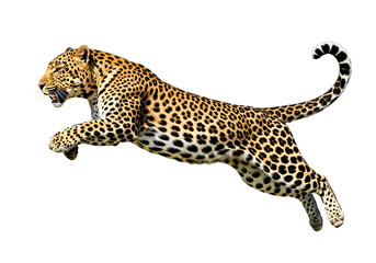 Powerful Leopard Jumping in Mid-Air with Dynamic Motion, Isolated on a Pure White Background