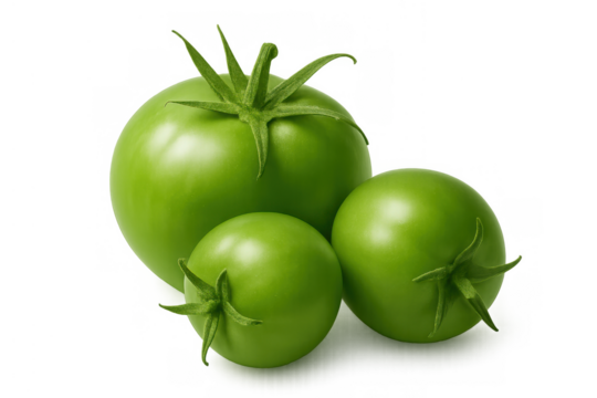 Group of green tomatoes picked unripe, showing fresh raw vegetables, healthy eating ingredient. Transparent background