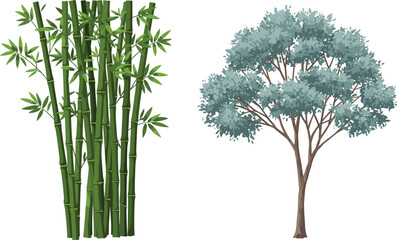 Illustrated comparison of bamboo cluster with tall stalks and leafy tree with dense canopy, botanical agricultural vector design for educational purposes