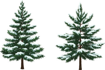 Snow covered evergreen pine trees illustration with winter forest landscape, seasonal nature background, holiday decoration, frosty cold weather vector design