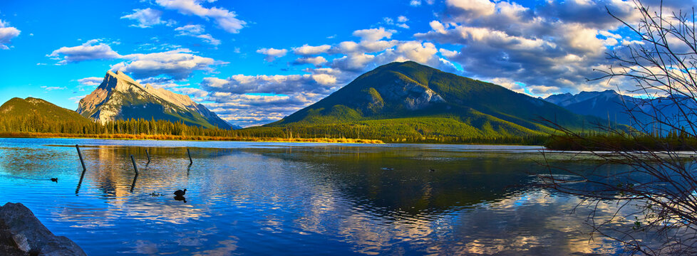 Panorama of Vermillion Lakes Mountain Reflections Water and Birds in Vibrant Sunset Light
