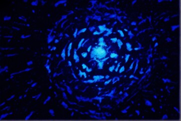 Dark blue anime sketch wallpaper with a noise. Backround design for Futuristic anti utopic background