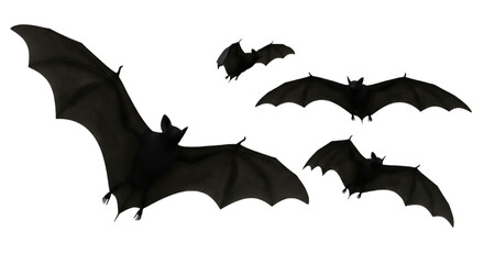 Bat Silhouettes Against Black Canvas Halloween Night Creatures Dark Winged Flight Animal on transparent background