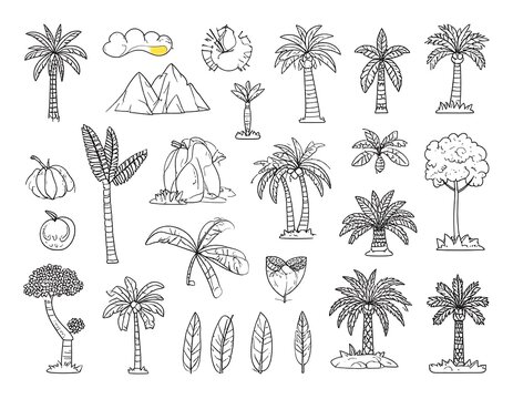 Black and white line art of various tropical plants - Powered by Adobe