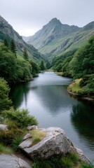 Serene Alpine River Valley with Majestic Rocky Mountains and Lush Green Trees Under a Cloudy Sky