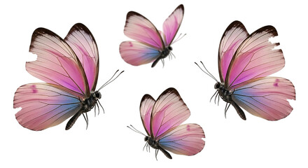 Fluttering Beauty Four Pink Butterflies in Elegant Flight Pastel Wings Delicate Insects Nature on transparent background