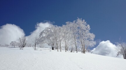 Frost in Mt.Otoe  音江山の樹氷