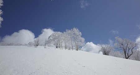 Frost in Mt.Otoe  音江山の樹氷