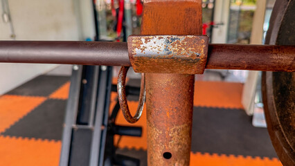 Fitness and exercise .Leg and arm exercises