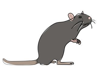 Mouse in continuous line drawing