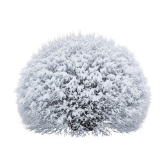 close up of snow on white