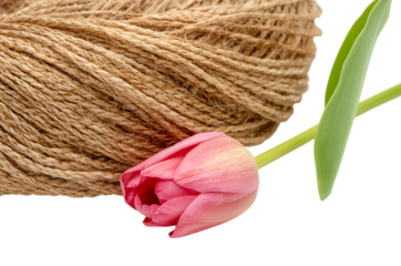 Close up of a pink tulip bud next to a spool of natural twine