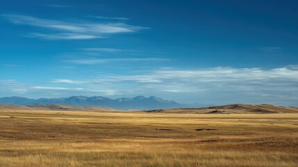 Obraz premium Expansive Golden Prairie with Distant Mountains Under Clear Sky