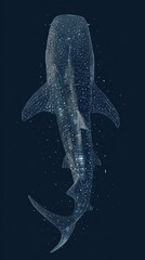Ethereal Whale Shark with Starry Patterns Against Dark Background