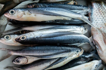 Fresh Fish at Local Market Displayed on Ice with Natural Light.
