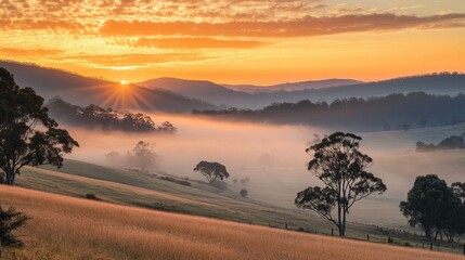 Misty Sunrise Valley Landscape.