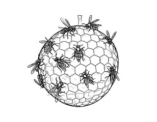 A black and white illustration of a spherical honeycomb with insects around