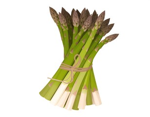 A bundle of fresh asparagus, tied with twine, on a white background
