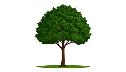A digitally rendered, lush green tree on a simple white background