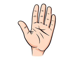 A detailed illustration of a human hand facing the viewer