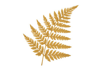 Golden fern leaf botanical frond, transparent background